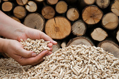 Biomass Energy