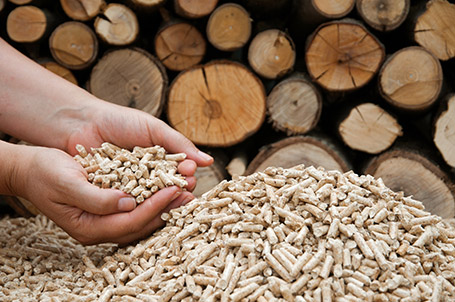 biomass systems, biomass energy, biofuels equipment